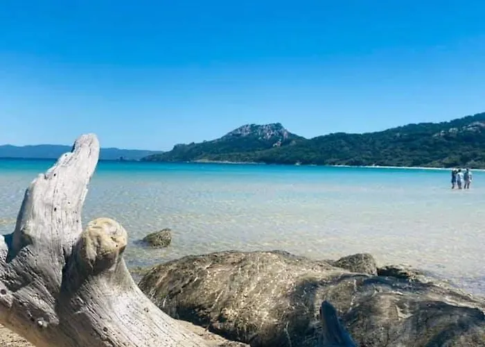 Evasion Ensoleillee Ile De Porquerolles Superbe T3 * Hyères