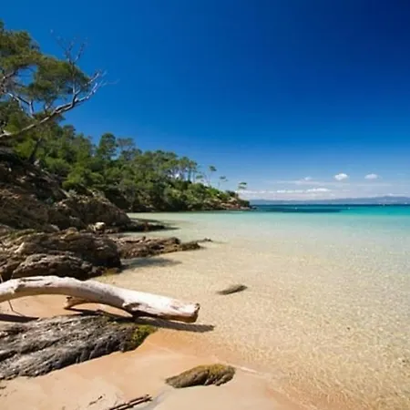 Evasion Ensoleillee Ile De Porquerolles Superbe T3 Apartamento