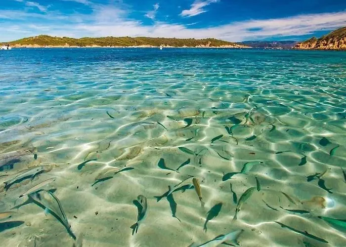 Evasion Ensoleillee Ile De Porquerolles Superbe T3 דירה *