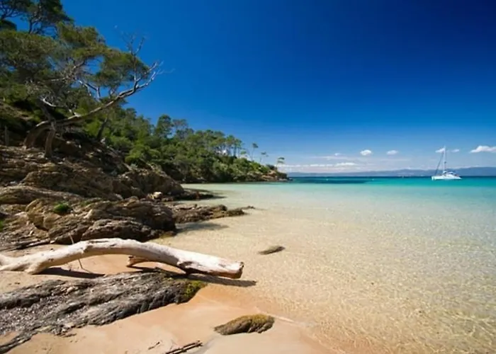 Evasion Ensoleillee Ile De Porquerolles Superbe T3 דירה